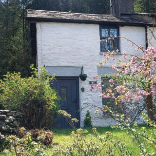 Squirrel Cottage - Cosy getaway - 9