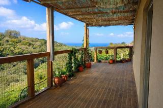 Villa de Madeira - 1