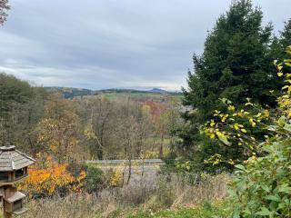 Ferienhaus Kleine Auszeit- Haus am Buchschirm -Hunde Willkommen - 9