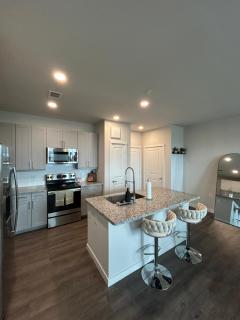 Houston Luxury Apartment - 3