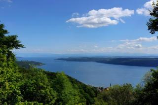 Merk Ferienwohnungen Gbr - 1