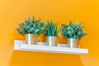 Apartamento a 199m de la Playa - 5