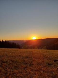 Prinzbachhof - 2