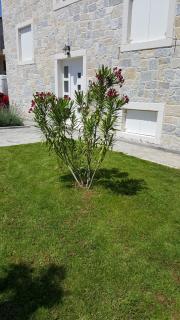 Apartments Rustic - 5