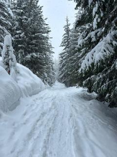 Appartamenti Larice Pila - 2