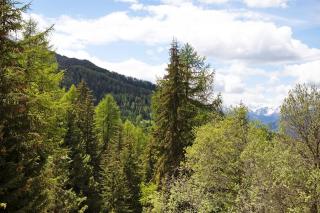 Appartamenti Larice Pila - 6