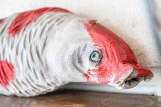 Monteurwohnung Kotte - 1