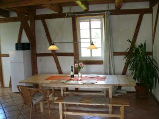Alte Wassermühle - Salem - 1