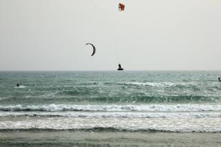 Villa nel Parco Naturale di Ugento - 7