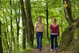 Ferienwohnungen Golla-lang - 5