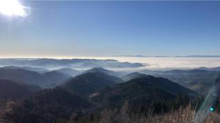 Ferienwohnungen Golla-lang - 2