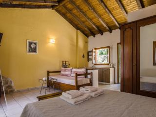 Adamantia Studio S2 - 2