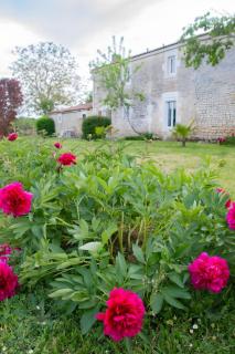 Gîte Les Bougrines - Marais - 9