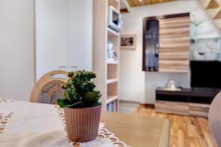 Ferienappartements Steige 3 - 9