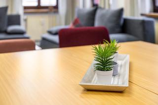 Ferienwohnung Marktblick - 9