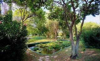 Le dimore di Elia - 6