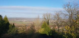 Le Coq De Champagne - 9