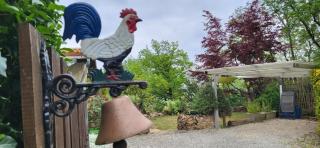 Le Coq De Champagne - 5