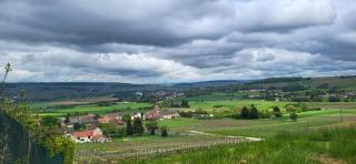 Le Coq De Champagne - 9