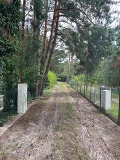 Haus Waldidyll am Briesensee - 1