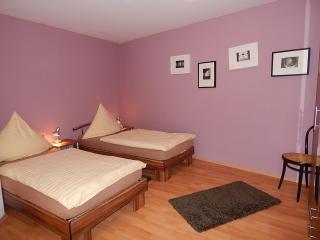 Haus Uni Koblenz Wohnung 2 - Coblenza - 7