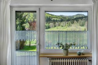 Aufblühen in Menzenschwand - 8