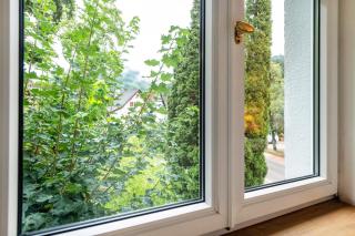 Appartement Waldhorn - 2