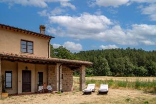 Melograno Poderone - 0