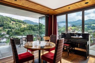 Wein- und Klimahotel Bergfriedel - 2