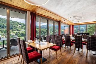 Wein- und Klimahotel Bergfriedel - 6