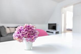 Villa Elysium - Wohnung 3 - 8