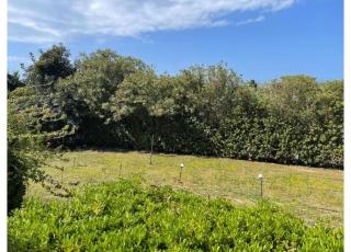 Villa Sugar Town - Zacharo - 9