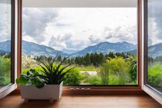 Bergnest Penning - 5