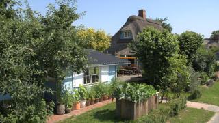 Blaue Hütte am Deich - 2