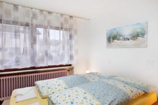 Pension zum Europapark- Kaiserstuhl - Teningen - 7