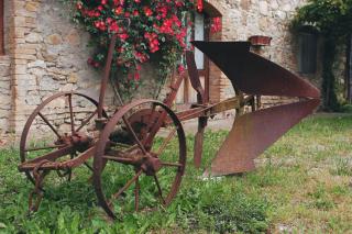 Agriturismo San Domenico-Il Roseto - 6