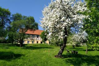 Ferienwohnung Böhme - 0