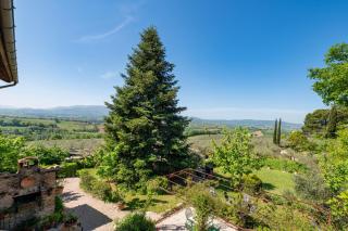 Il Grappolo E La Rosa - 8