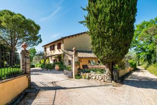 Il Grappolo E La Rosa - 3