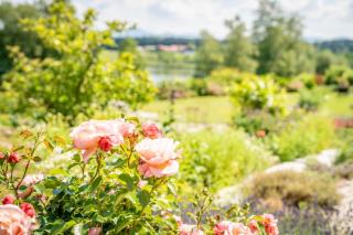 Ferienwohnung Weitblick - 9