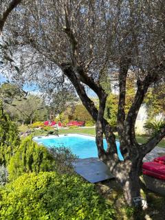 Mas de Provence en Riviera - 4