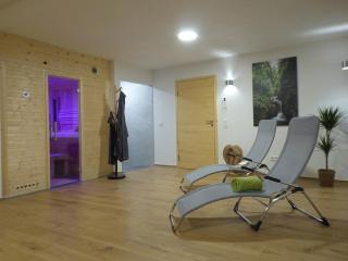 Ferienwohnungen am Dollenberg - 1