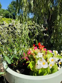 Moulin De La Forge - 2