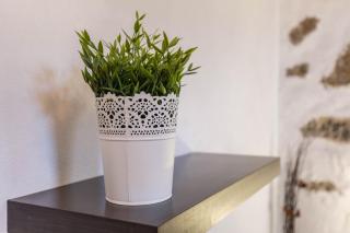 Edén Ecologico -Adults only - 8