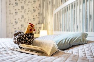 Hühnerstall by Opitz - 3