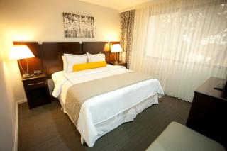 Hotel Los Andes - San Pedro Sula - 2