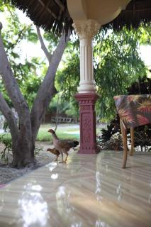 KoMe Beach Garden - 6