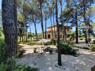 La dimora del musicista - 3