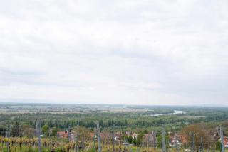 B5fewo - Bad Bellingen - 4