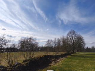 The red Butterfly 2 cottage - 3